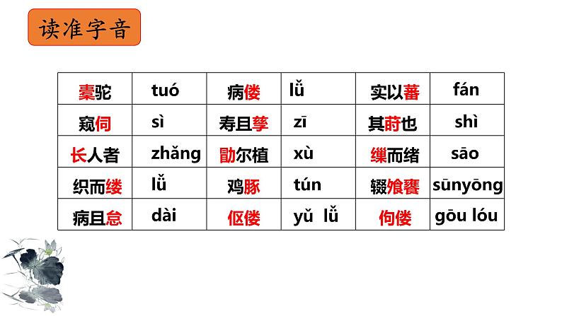 《种树郭橐驼传》课件统编版高中语文选择性必修下册第5页