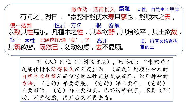 《种树郭橐驼传》课件统编版高中语文选择性必修下册第8页