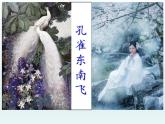 2《孔雀东南飞并序》课件2022-2023学年统编版高中语文选择性必修下册