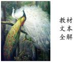 2《孔雀东南飞并序》课件2022-2023学年统编版高中语文选择性必修下册