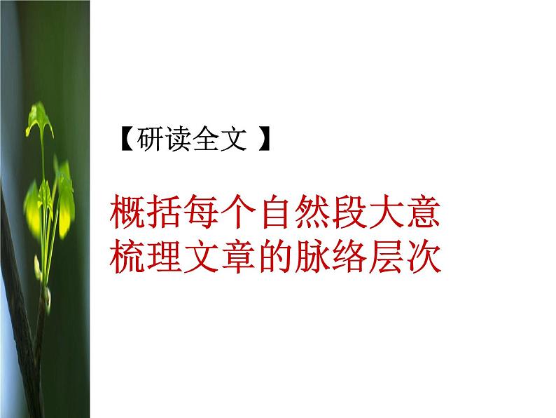 9《说“木叶”》课件  2022-2023学年统编版高中语文必修下册第5页