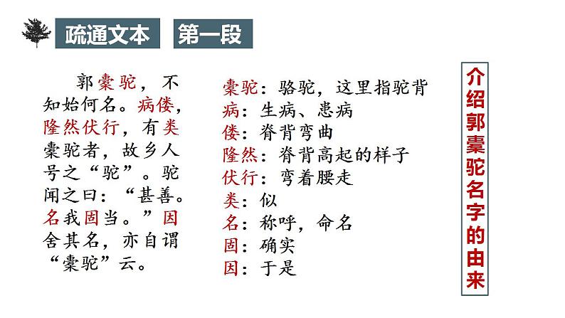 11.《种树郭橐驼传》课件 2022-2023学年统编版高中语文选择性必修下册第7页