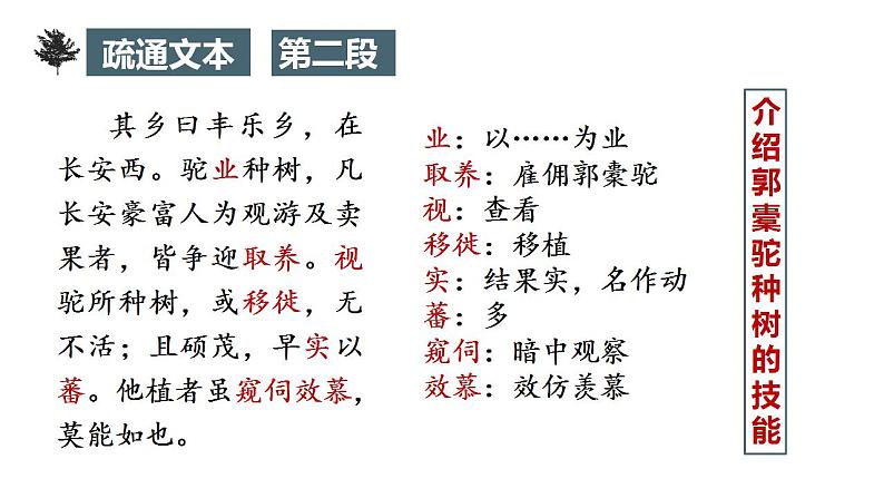 11.《种树郭橐驼传》课件 2022-2023学年统编版高中语文选择性必修下册第8页