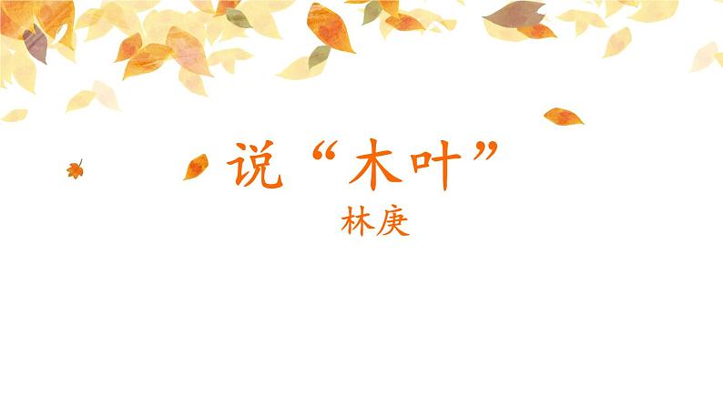 《说“木叶”》课件PPT01
