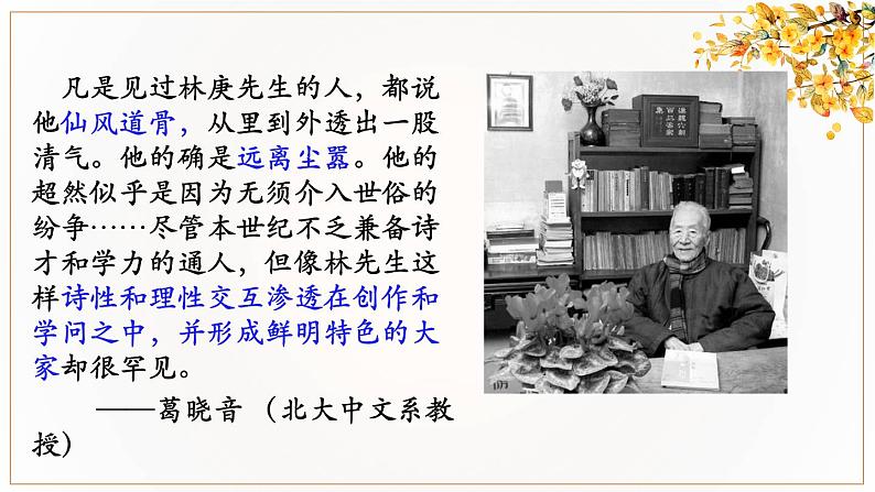 《说“木叶”》课件PPT03