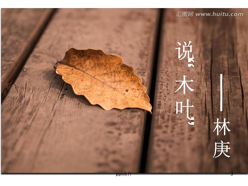 《说木叶》优秀课件ppt课件第3页