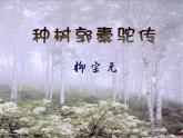 2022-2023学年统编版高中语文选择性必修下册11《种树郭橐驼传》课件