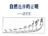 2022-2023学年统编版高中语文选择性必修下册13.1《自然选择的证明》课件