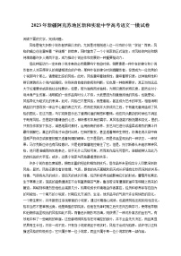 2023年新疆阿克苏地区新和实验中学高考语文一模试卷（含答案解析）