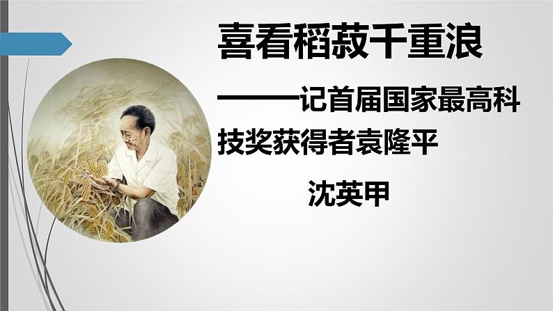 2022-2023学年统编版高中语文必修上册4.1《喜看稻菽千重浪》课件第3页