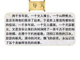 2022-2023学年统编版高中语文必修上册8.3《琵琶行 并序》课件