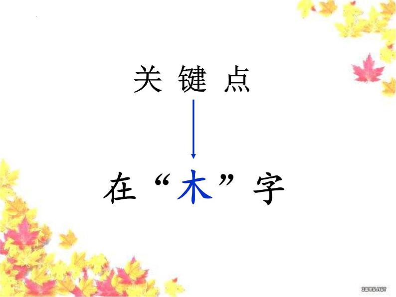 2022-2023学年统编版高中语文必修下册9《说 木叶》课件第6页