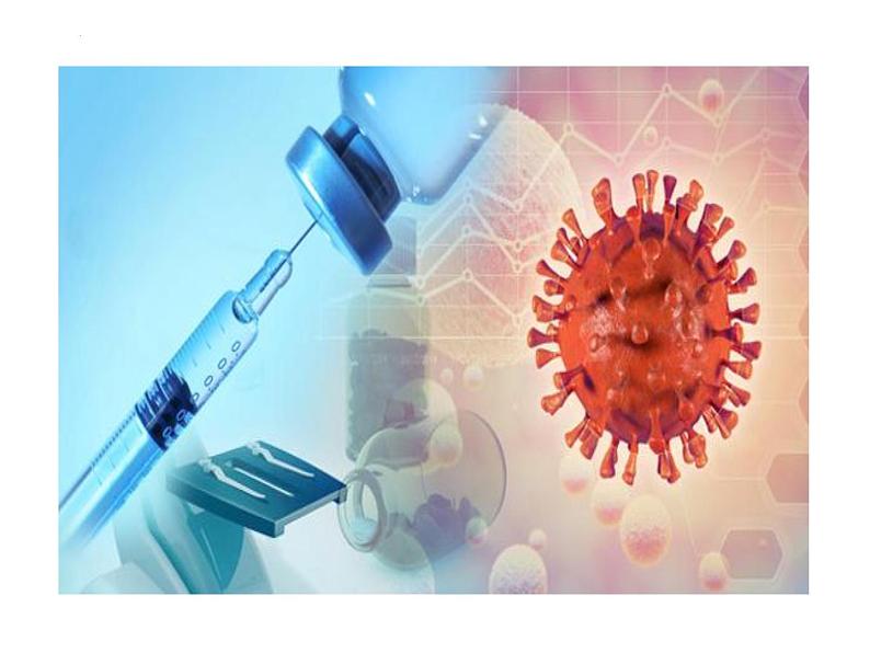 2023届高考语文复习：概括新闻消息 课件第8页