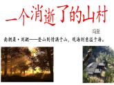 2022-2023学年统编版高中语文选择性必修下册7.1《一个消逝了的山村》课件