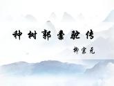 2022-2023学年统编版高中语文选择性必修下册11《种树郭橐驼传》课件
