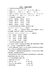 专题11 第五单元基础知识梳理-2022-2023学年高一语文下学期期中期末专项复习（统编版必修下册）