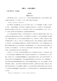 专题16 文学类文本阅读之小说专项练习-2022-2023学年高一语文下学期期中期末专项复习（统编版必修下册）