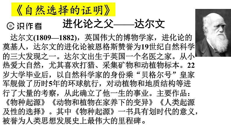 单元复习04 第四单元【过知识】-2022-2023学年高二语文单元复习（统编版选择性必修下册） 课件05