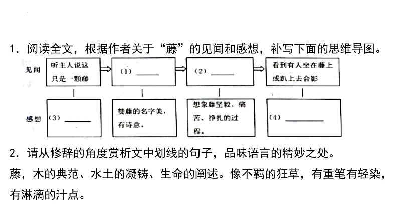 2023届高考语文二轮复习专项：现代文阅读之散文阅读 课件第4页