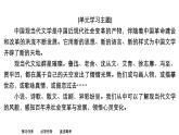 新教材-高中语文-选择性必修（下册）--第5课　阿Q正传(节选)（精品课件）