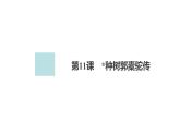 新教材-高中语文-选择性必修（下册）--第11课　种树郭橐驼传（精品课件）