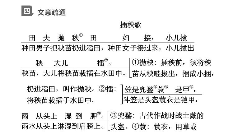 新教材-高中语文-必修（上册）--第6课　插秧歌（精品课件）第6页