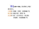 5.1《阿Q正传（节选）》课件 2022-2023学年统编版高中语文选择性必修下册