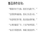 5.1《阿Q正传（节选）》课件 2022-2023学年统编版高中语文选择性必修下册