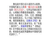 5.1《阿Q正传（节选）》课件 2022-2023学年统编版高中语文选择性必修下册