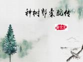 11《种树郭橐驼传》课件 2022-2023学年高中语文统编版选择性必修下册