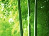 古诗词诵读《客至》课件  2022-2023学年统编版高中语文选择性必修下册