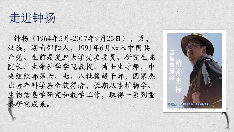 4《心有一团火，温暖众人心》《“探界者”钟扬》联读课件 2022-2023学年统编版高中语文必修上册第8页