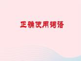 （新高考专用）2023年高考语文二轮复习 01 正确使用词语（成语）课件
