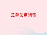 （新高考专用）2023年高考语文二轮复习 01 正确使用词语（成语）课件