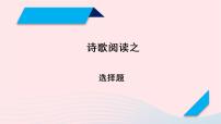 2023年高考语文二轮复习 专题精讲精练 专题10 选择题课件