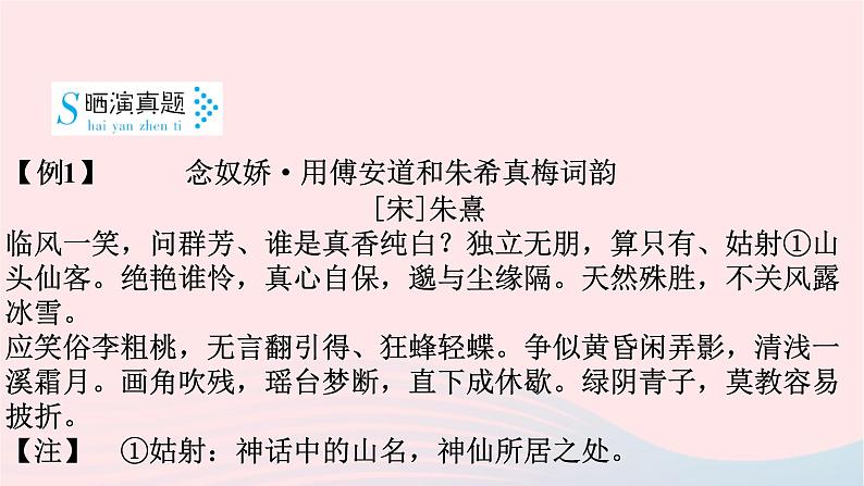 2023年高考语文二轮复习 专题精讲精练 专题11 主观题课件第5页