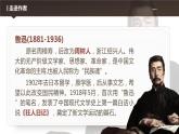 5.1《阿Q正传（节选）》课件2022-2023学年高中语文统编版选择性必修下册