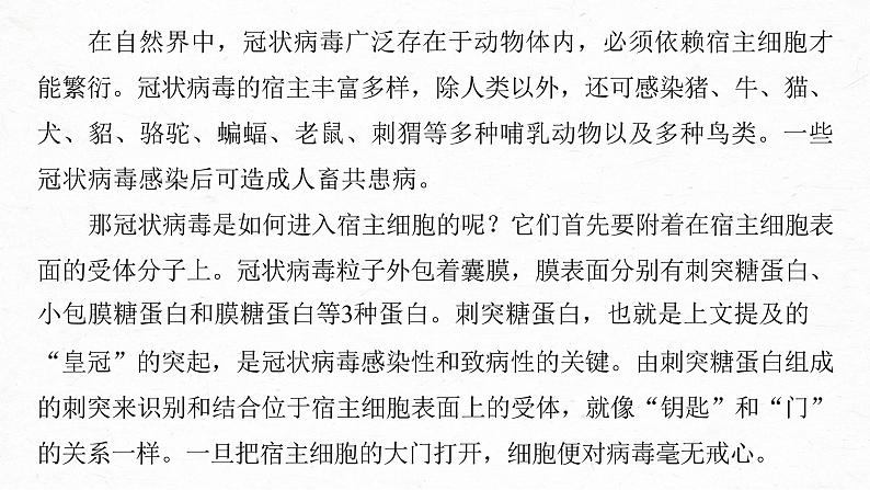 新高考语文第6部分 论述实用类文本阅读 任务组三 任务三 精细筛选，精要归纳，精准分析概括课件PPT第8页