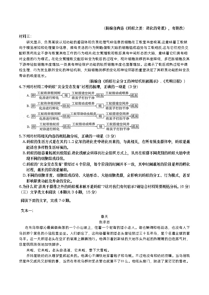 柳州高中南宁二中高三（5月）联考  语文试题第3页
