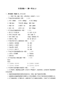 专项训练1-2022-2023学年高一语文下学期期末专项复习（统编版必修下册）