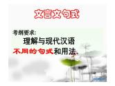 2023届高考语文复习：文言特殊句式课件