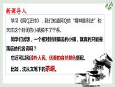 高中语文统编版选择性必修下册5.2《边城（节选）》课件