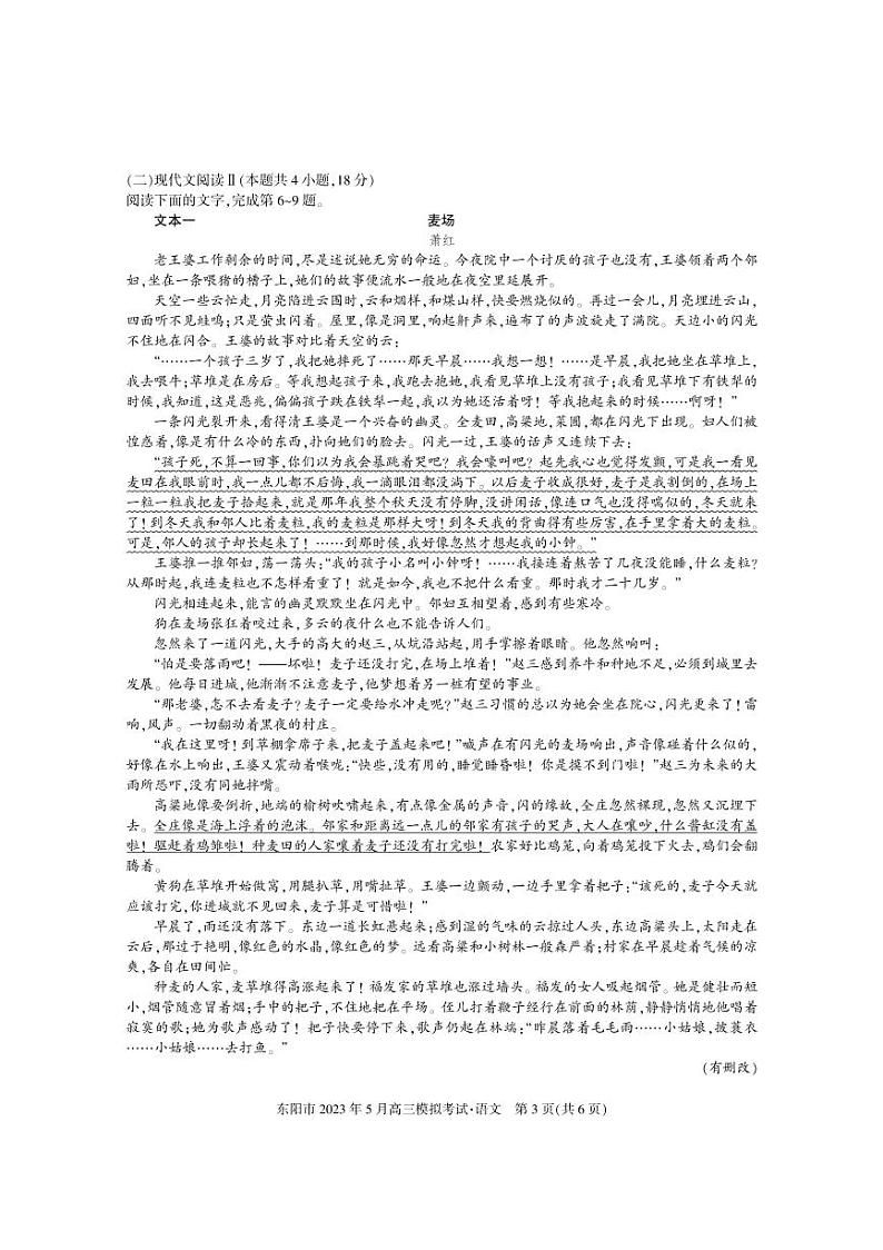 浙江省金华市东阳市2022-2023学年高三语文下学期5月适应性考试（三模）试题（Word版附答案）03