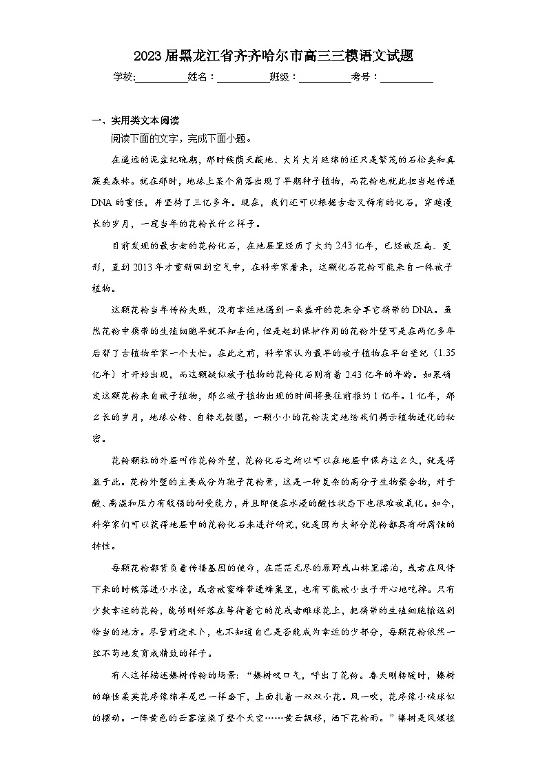 2023届黑龙江省齐齐哈尔市高三三模语文试题（含答案）01