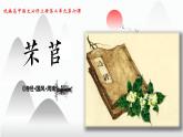 6.1《芣苢》课件