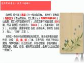 6.1《芣苢》课件