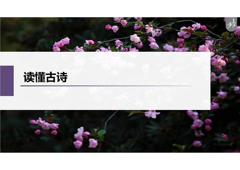 2023届高考语文复习第一课：读懂古诗优质课件第1页