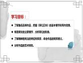 5.1《阿Q正传（节选）》课件  2022-2023学年统编版高中语文选择性必修下册