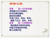 9.2《项脊轩志》课件  2022-2023学年统编版高中语文选择性必修下册