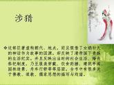 整本书阅读《红楼梦》课件  2022-2023学年统编版高中语文必修下册